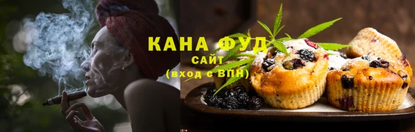 тгк Абаза