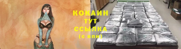 тгк Абаза