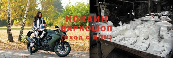 тгк Абаза