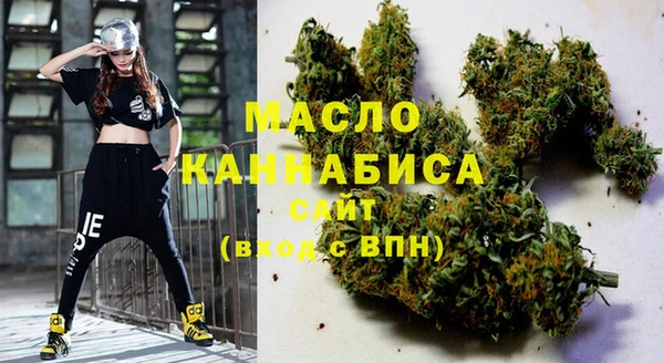 тгк Абаза